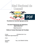 Informe Camal Municipal