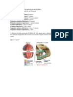 MÉDIA DA TABELA DE ERUPÇÃO DENTÁRIA