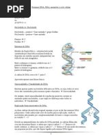 DNA, RNA, ciclo celular e mutações