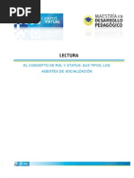 Agentes de Socializacion Estatus