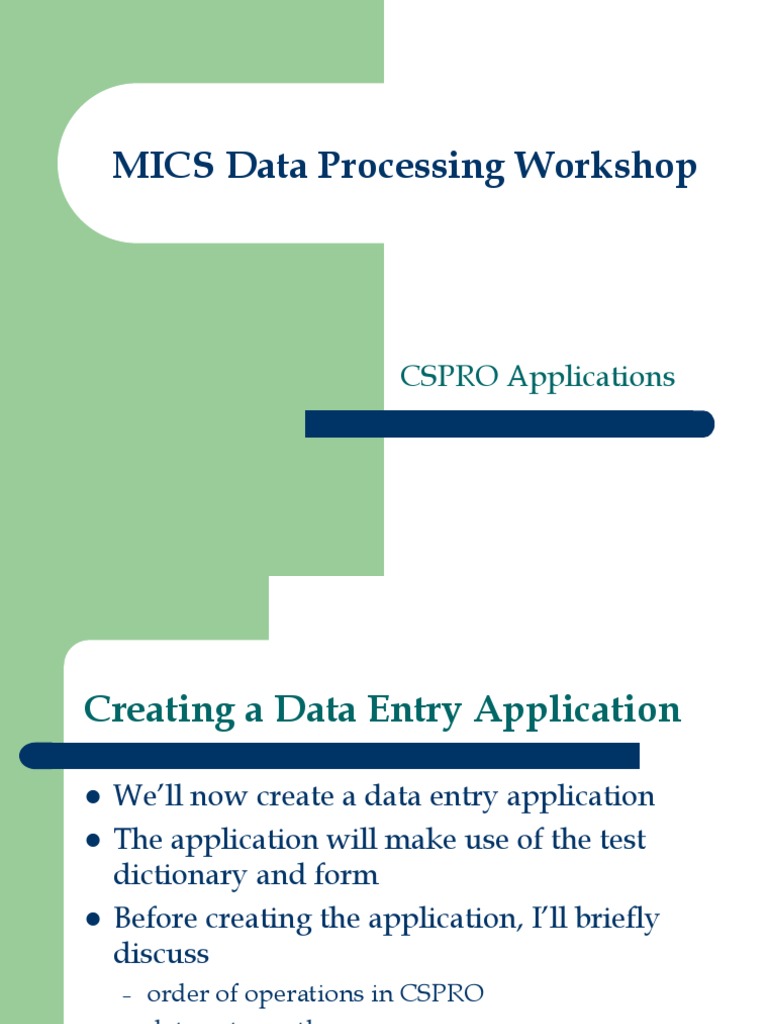 CSPRO Data Entry Application Guide | PDF | Subroutine | Parameter ...