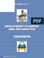 3. Employment Planning      Chapte 3.ppt