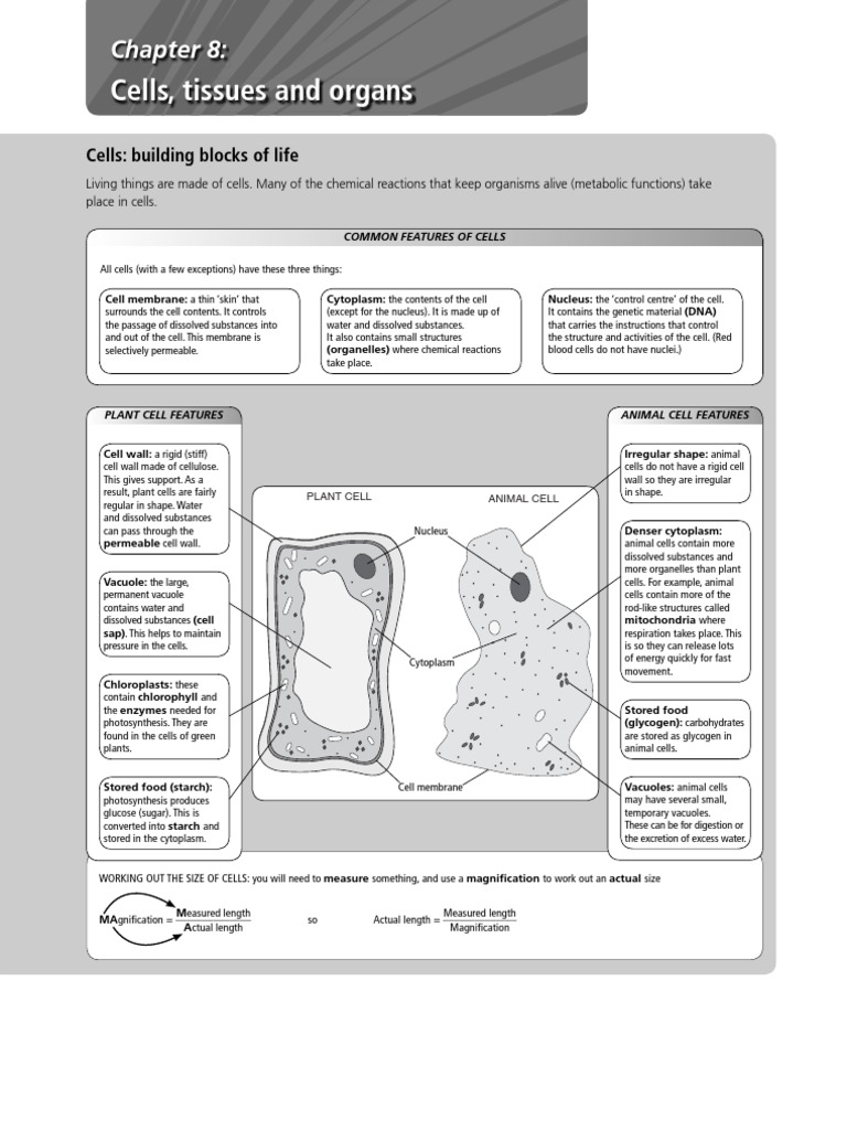Biology | Tissue (Biology) | Vacuole