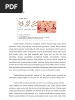 Download Candida Albicans by Debby Chintia SN146876147 doc pdf