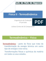 Termodinâmica Parte 1 - Temperatura e A Teoria Cinética Dos Gases