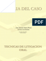 Teoria Del Caso