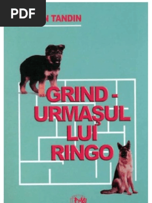 Traian Tandin Grind Urmasul Lui Ringo