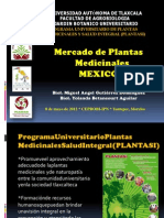 Mercadoplantasmedicinalesmexicoipnmayo2012 121230084245 Phpapp02