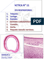 Practica 11