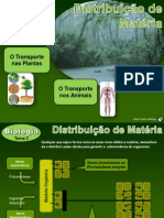 Tema 3A Bio