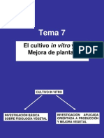 TEMA7 - El Cultivo in Vitro y La Mejora de Plantas PDF