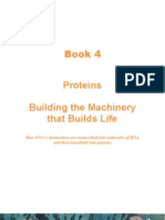 Book 4: Proteins - Building The Machinery That Builds Life