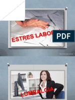 Como Evaluar el Riesgo del Estres Laboral y la Lumbalgia