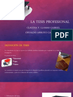 La Tesis Profesional