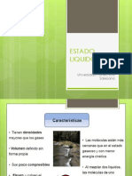 Estado Liquido PDF