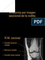8.6 Anatomía por imagen seccional de la rodilla
