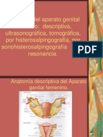 10.1 Anatomía del ap. genital femenino descriptiva,  por US, por TC,  por HSG, por sonoHSG   y por RM.