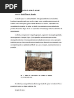 Processamento Da Cana Aula 15