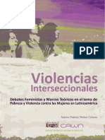 Violencias Interseccionales PDF