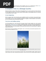 The Book of Ruth Contains an Interesting Story About a Moabite Woman Who Was Redeemed Into a Hebrew Family