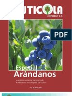 Especial Arandanos PDF
