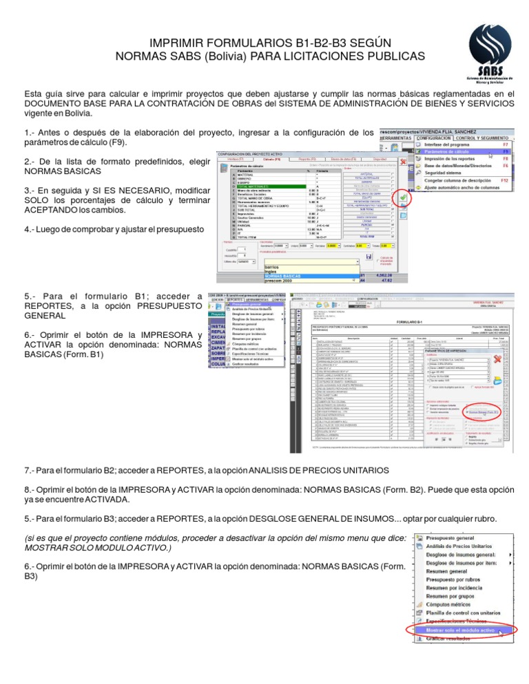 Impresión de Formularios B1-B3 SABS | PDF | Negocios | Informática