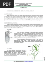 APOSTILA FORRAGICULTURA.