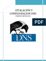 Instalacion Configuracion DNS