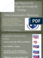Disco Germinativo Bilaminar