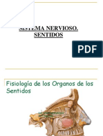 9-Sistema Nervioso Sentidos