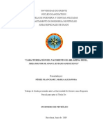 06-TESIS.IP009.P66.pdf