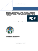 Bosques Energeticos PDF