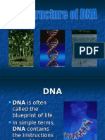 DNA Overview