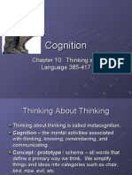 12 Cognition