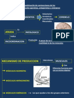 CAPITULO 14 Semiologia.pptx