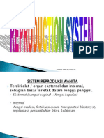 Sistem Reproduksi