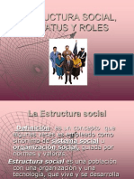 Estructura Social, Estattus y Roles