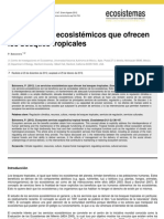 LOs Servicios Ecosistémicos Que Ofrecen Los Bosques Tropicales