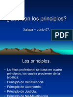 qu-son-los-principios-1194924963671471-3