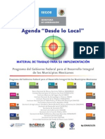 Agenda Desde Lo Local Jun 2010