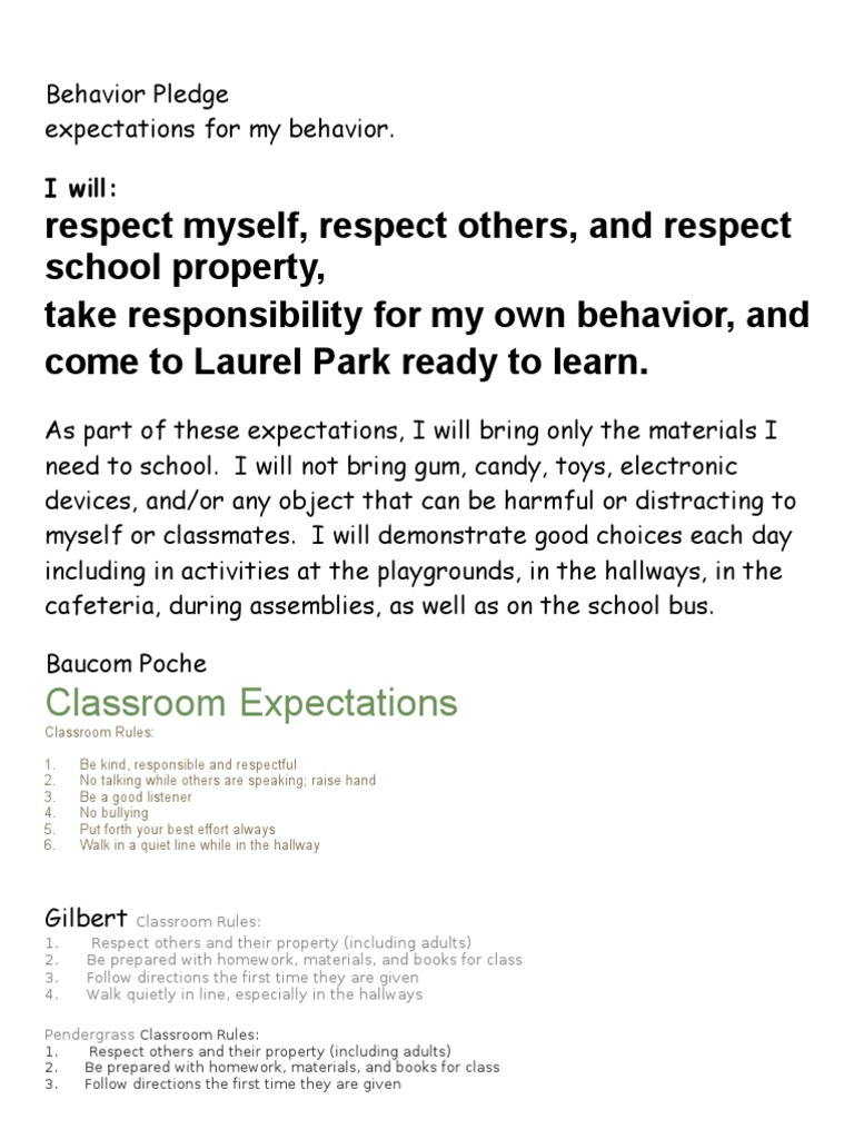 Classroom Behavior Expectations Guide | PDF