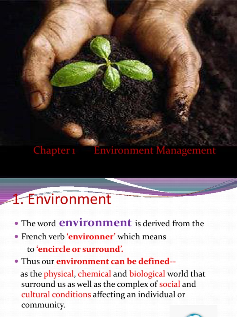 Environment Management PDF Environmental Resource Management