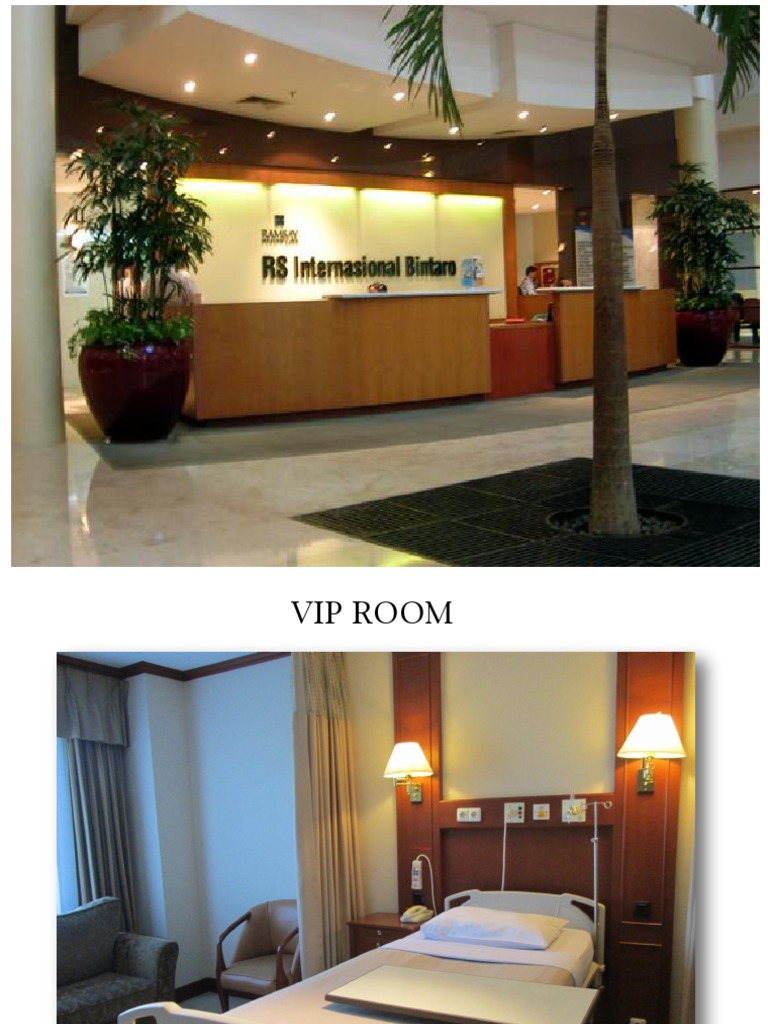VIP Room Features and Facilities | PDF