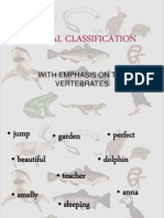 Classification of Animals mine.ppt