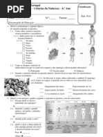 Tes 6 Sist Reprodutor 319 2008