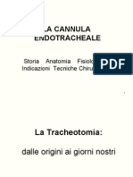 Cannula Endotracheale