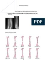 Ortopedie - ANATOMIE PATOLOGICA
