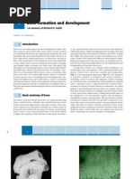 Download Bone Formation and Development by scdubal SN147165686 doc pdf