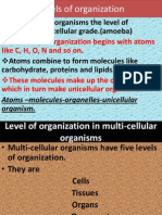 Levels of Organization