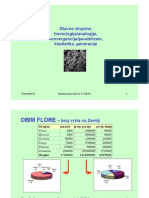 Glavne Skupine Uvod